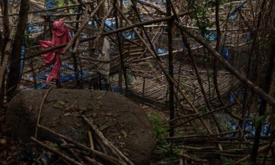 Around 40 Dead Bodies Found In One Of Myanmar's Jungles