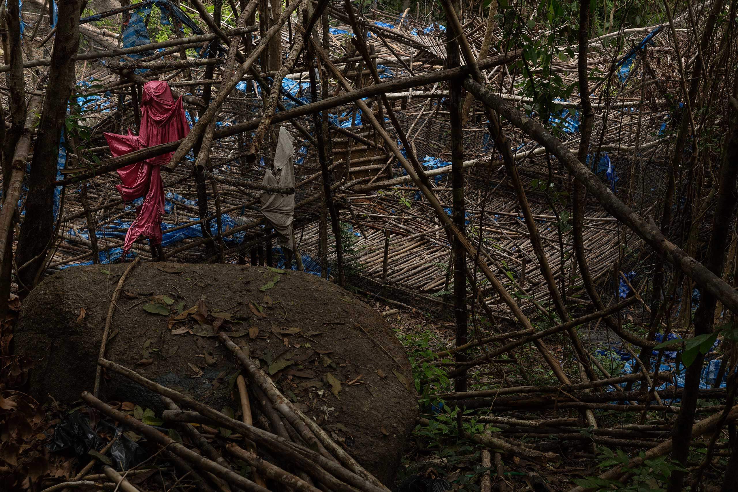 Around 40 Dead Bodies Found In One Of Myanmar's Jungles