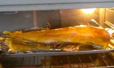 Fish Becomes Alive In Oven